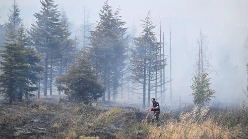 Ankara’da otluk alanda yangın çıkaran şüpheli tutuklandı