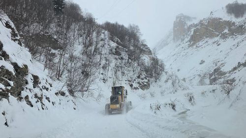 Artvin’de çığ düştü: 3 çoban çığ altında kaldı