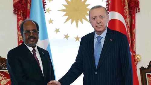 Başkan Erdoğan, Somali Cumhurbaşkanı Hasan Şeyh Mahmud ile görüştü
