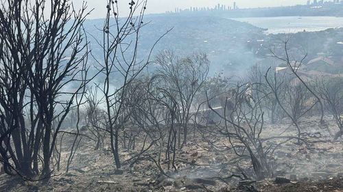 Beykoz’da işaret fişeğiyle yangın çıkaran şüpheli tutuklama talebiyle mahkemeye sevk edildi
