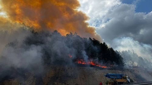 Bolu’da orman yangını: Karayolu Geçici olarak trafiğe kapatıldı
