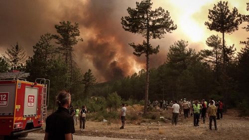 Bursa’daki orman yangını beşinci gününde: Müdahaleler sürüyor