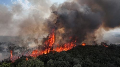 Çanakkale’deki orman yangını tamamen kontrol altına alındı