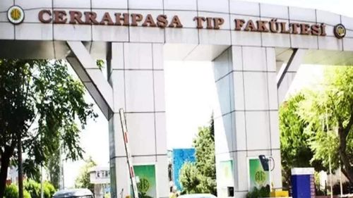 Gazeteci Ersin Çelik, çocuklara cinsiyet ameliyatı yapılan Çapa Tıp Fakültesi raporunu yazdı