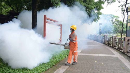 Çin’de sivrisinek kaynaklı chikungunya vakaları 7 bini aştı