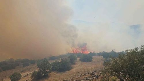 Denizli’deki yangına müdahale sürüyor: Balıkesir’deki yangın kontrol altında