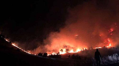 Diyarbakır ve Mardin'deki yangınların çıkış sebebi açıklandı