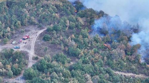 Düzce ve Bursa’daki orman yangınları kontrol altına alındı