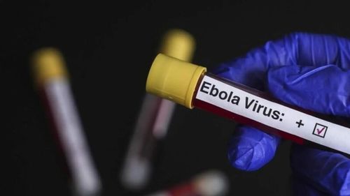 Ebola virüsü Belçika’da acil durum ilan ettirdi