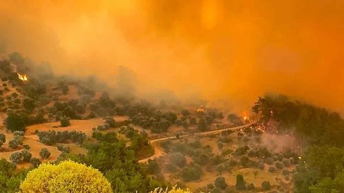 Bakan Yumaklı, Fethiye’deki orman yangınının kontrol altına alındığını açıkladı