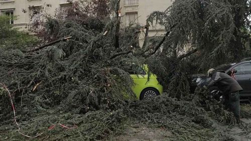 Fransa’da şiddetli fırtına sebebiyle 53 bin hanenin elektriği kesildi