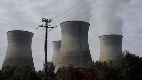 Fransa’da denizanası alarmı: Nükleer santralde üretim durdu 