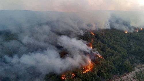 Şarköy’deki yangın Gelibolu'ya sıçradı: Çanakkale-Malkara Otoyolu ulaşıma kapatıldı