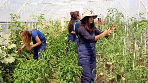 Gençler ve kadınlar çiftçiliğe teşvik edilecek