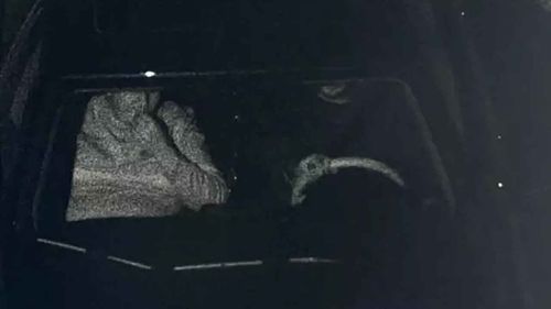 Gülistan Doku soruşturmasında kritik delil: Aynı araçta oldukları ortaya çıktı