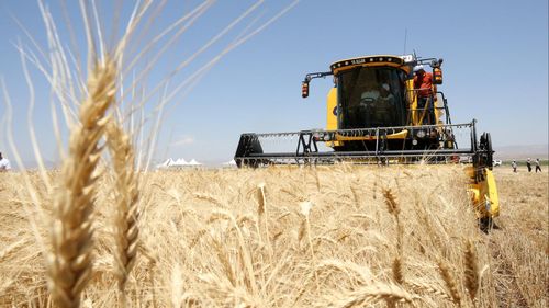 Türkiye'nin hububat ihracatı 7 ayda 6,9 milyar dolara ulaştı