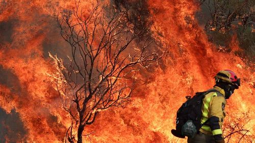 İspanya’da orman yangınları: Ölü sayısı 3’e yükseldi