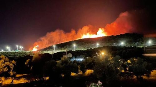 İzmir ve Türkiye genelinde geniş çaplı orman yangınları