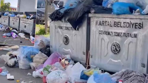 CHP’nin yönettiği Kartal’da çöp yığınları vatandaşı illallah ettirdi