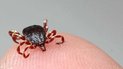 Sivas’ta kene sebebiyle bir kişi daha hayatını kaybetti: Can kaybı 11’e yükseldi