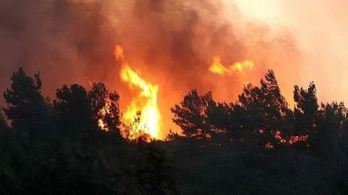 Manisa'daki orman yangını 2. gününde