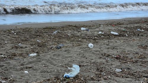 Marmara Denizi’nde mikroplastik alarmı: 2000’lerden bu yana belirgin artış