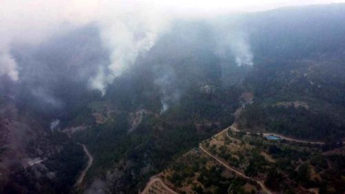 PKK'lı teröristler yakalanmamak için ormanları yakıyor