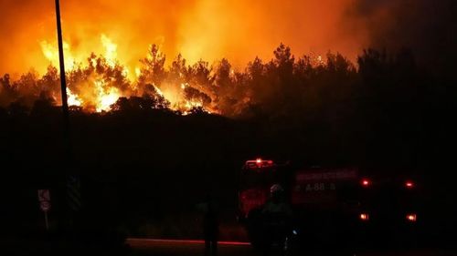 İzmir'deki orman yangınına ilişkin 1 zanlı tutuklandı