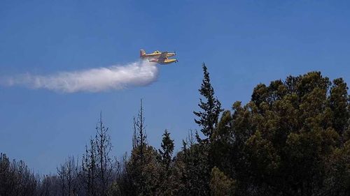 Orman yangınlarıyla ilgili soruşturmalarda 17 şüpheli gözaltına alındı