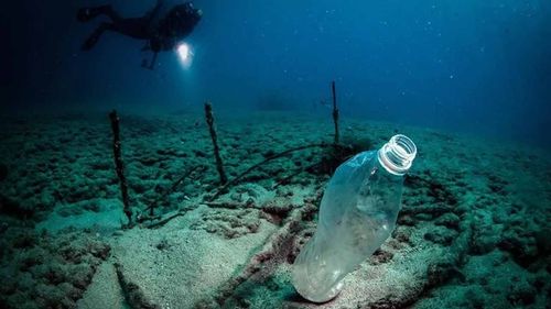 Plastiklere sınırlama geliyor: Türkiye’den deniz çöpleriyle mücadelede yol haritası