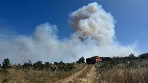 İzmir ve İstanbul'daki yangınlara müdahale sürüyor