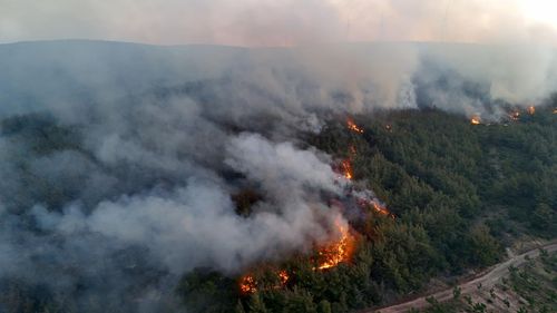 Tekirdağ ve Çanakkale'deki orman yangınlarına müdahale sürüyor