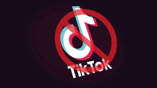 Arnavutluk, TikTok'u yasakladı