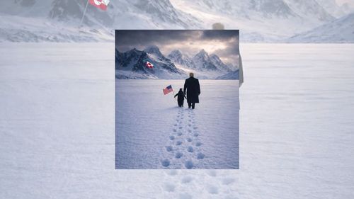 Beyaz Saray'ın penguenli Grönland paylaşımı alay konusu oldu