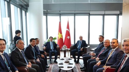 Başkan Erdoğan Vietnam Devlet Başkanı Luong Cuong ile Görüştü