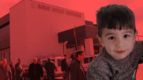 İsmail Kılıçarslan: Türkiye’deki sokak köpeklerini bir gecede Etiler'e, Çankaya'ya bırakalım