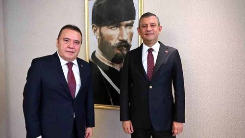 Sakin ol şampiyon!