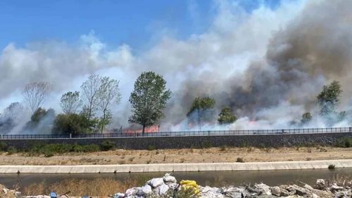 Tarım ve Orman Bakanı İbrahim Yumaklı: Dört bölgede yangın kontrol altında