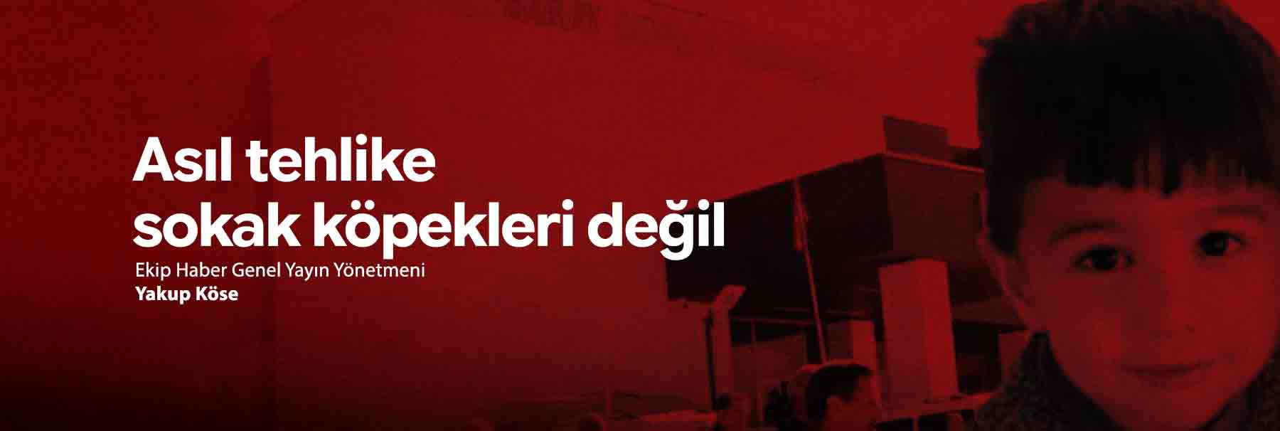 Esas tehlike sokak köpekleri değil
